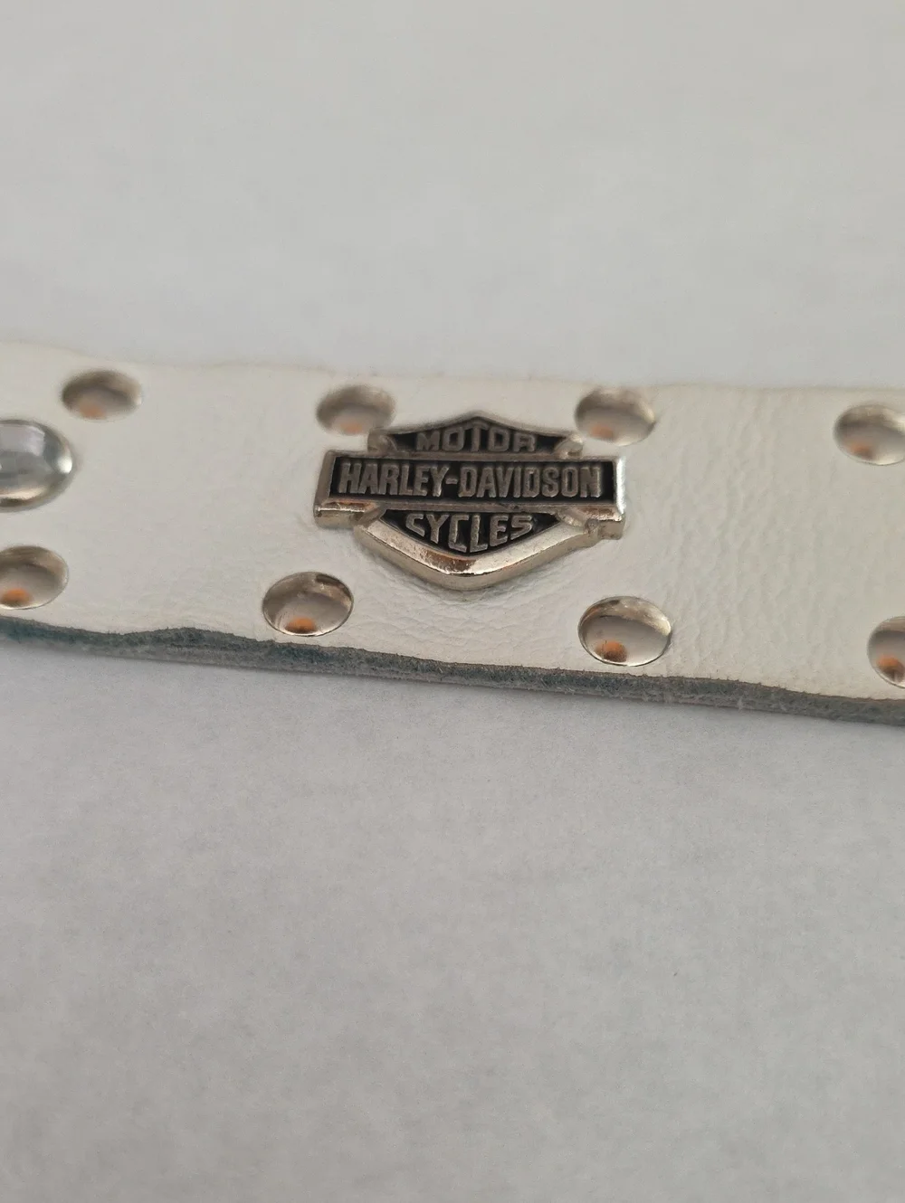 Harley-Davidson this pre